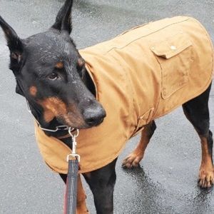 Heavy Carhartt Dog coat